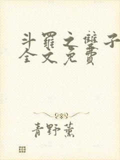 斗罗之双子斗罗全文免费