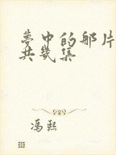 梦中的那片海一共几集