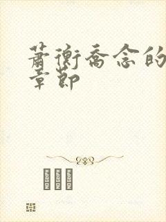 萧衡乔念的最新章节