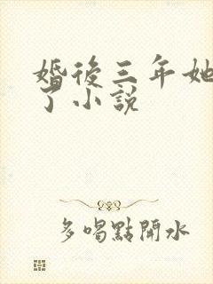 婚后三年她变心了小说