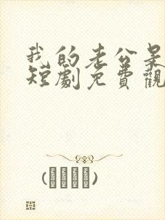 我的老公是总裁短剧免费观看全集封面