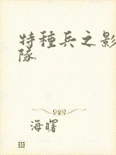 特种兵之影子部队