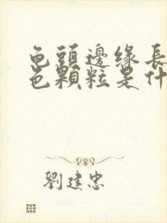 龟头边缘长的白色颗粒是什么