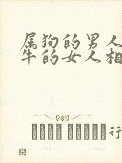 属狗的男人和属牛的女人相配吗