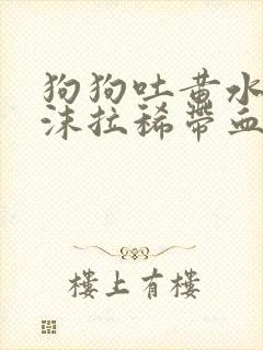 狗狗吐黄水带泡沫拉稀带血