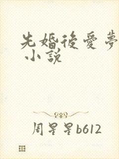先婚后爱梦筱二 小说