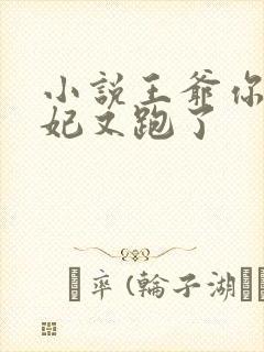 小说王爷你的王妃又跑了