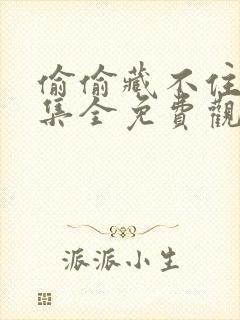 偷偷藏不住40集全免费观看封面