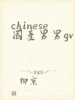 chinese国产男男gv