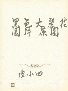 黑色大丽花真实图片 原图