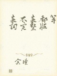 来不来都等你歌词完整版