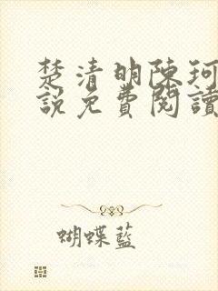 楚清明陈珂言小说免费阅读全文