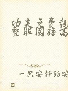 功夫免费观看完整版国语高清