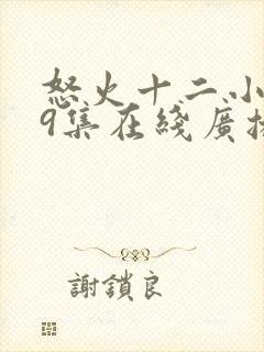 怒火十二小时第9集在线广播