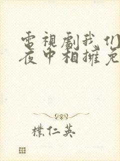 电视剧我们在黑夜中相拥免费看