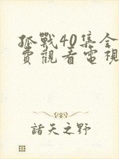 孤战40集全免费观看电视剧