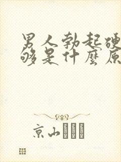 男人勃起硬度不够是什么原因造成的