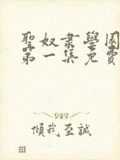 圣奴隶学园动漫第一集免费观看完整版