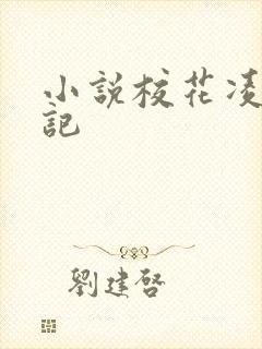 小说校花凌辱日记