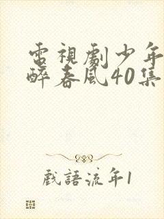 电视剧少年白马醉春风40集全