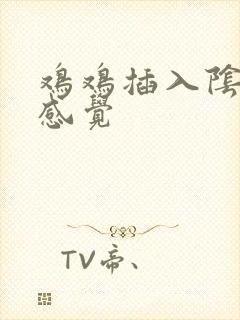 鸡鸡插入阴道的感觉封面