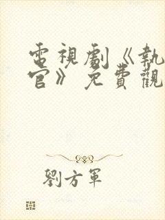 电视剧《执行法官》免费观看