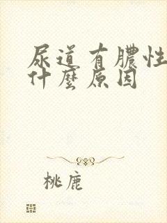 尿道有脓性液体什么原因