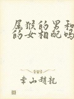 属猴的男和属龙的女相配吗