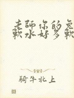 老师你的兔子好软水好多软件