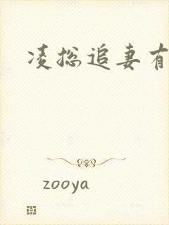 凌总追妻有些甜封面