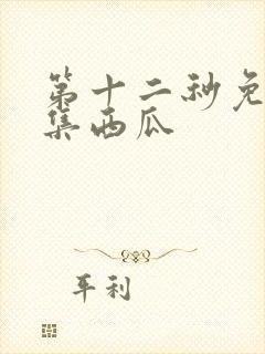 第十二秒免费全集西瓜封面