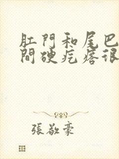 肛门和尾巴骨中间硬疙瘩很疼