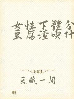 女性下体分泌物豆腐渣吃什么药