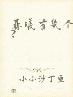 聂曦有几个孩子?