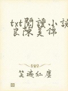 txt阅读小说良陈美锦