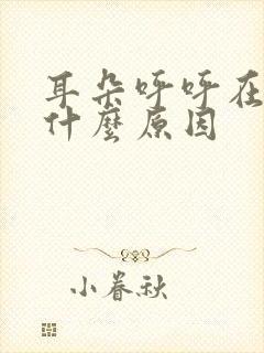 耳朵呼呼在响是什么原因