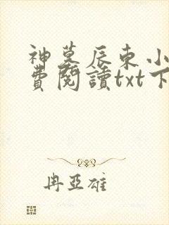 神墓辰东小说免费阅读txt下载