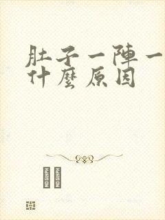 肚子一阵一阵痛什么原因