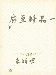 麻豆精品一二av