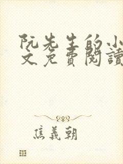 阮先生的小说全文免费阅读无弹窗