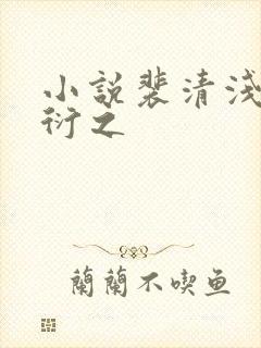 小说裴清浅和慕衍之