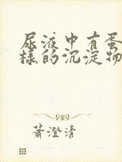 尿液中有蛋清一样的沉淀物