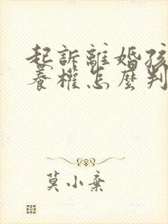 起诉离婚孩子抚养权怎么判