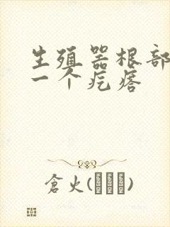 生殖器根部长了一个疙瘩