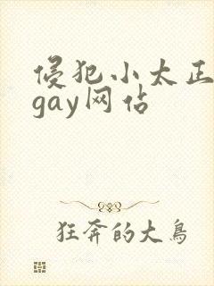 侵犯小太正裸体gay网站