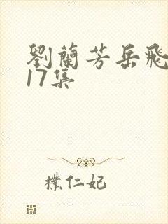 刘兰芳岳飞传117集