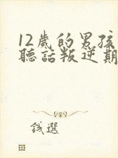 12岁的男孩不听话叛逆期怎么管理