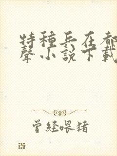 特种兵在都市有声小说下载