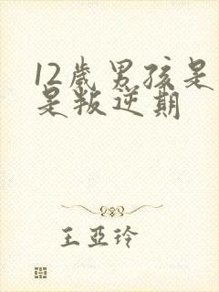 12岁男孩是不是叛逆期