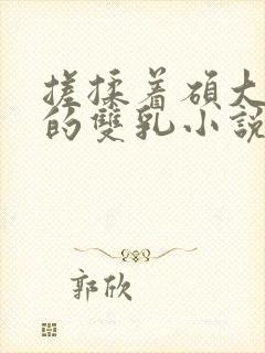 搓揉着硕大丰满的双乳小说